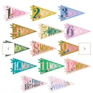 [Lucy Darling] Little Artist Petit Milestone Pennants